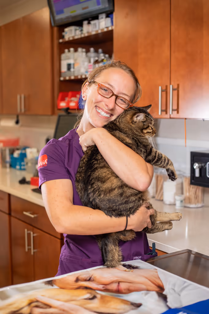 staff profile