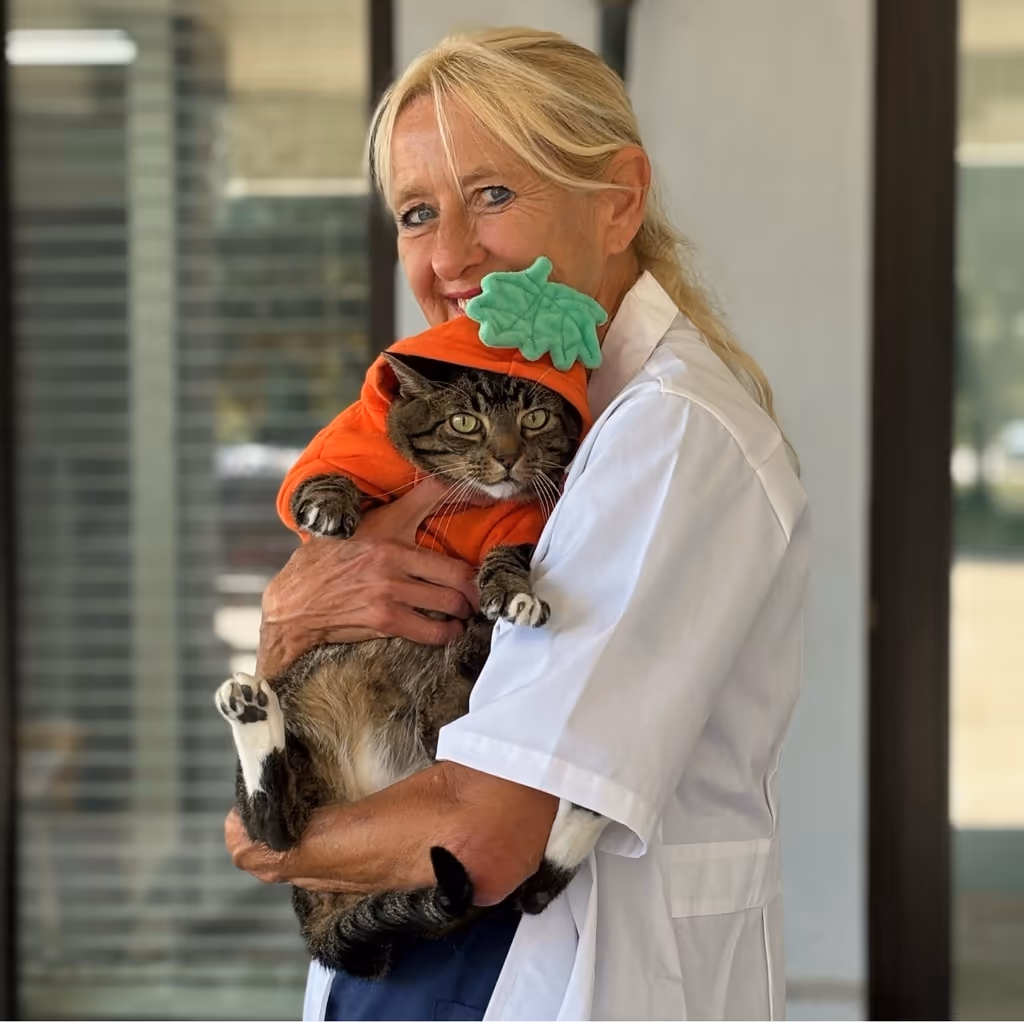 staff profile