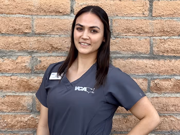 staff profile