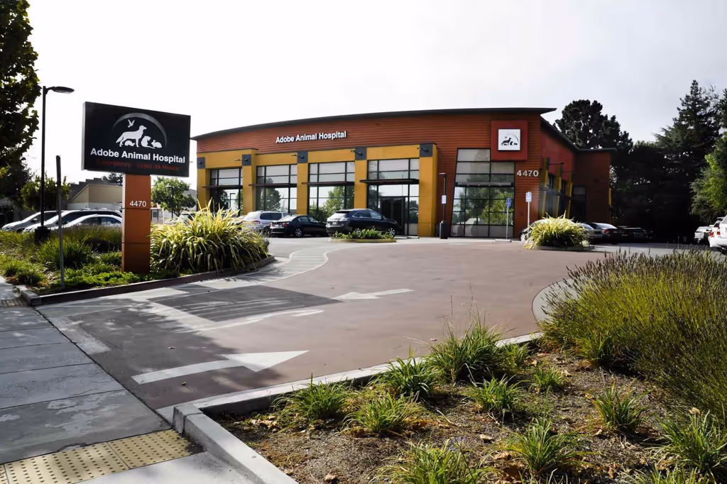 facility profile image