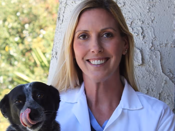 staff profile