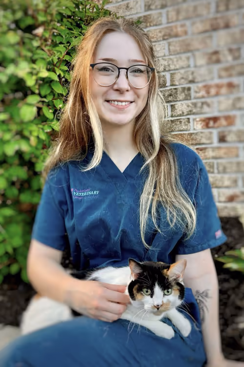staff profile