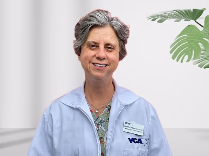 staff profile