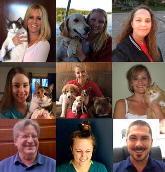 staff profile
