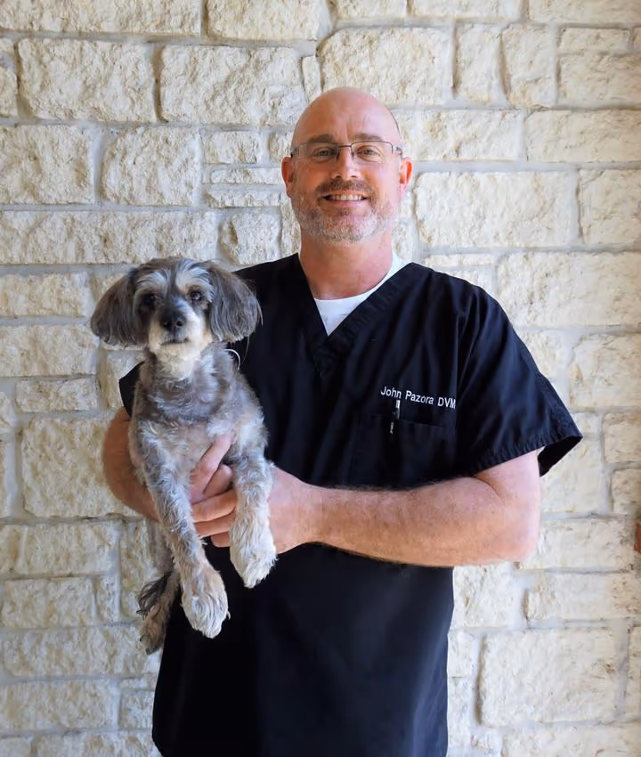 staff profile