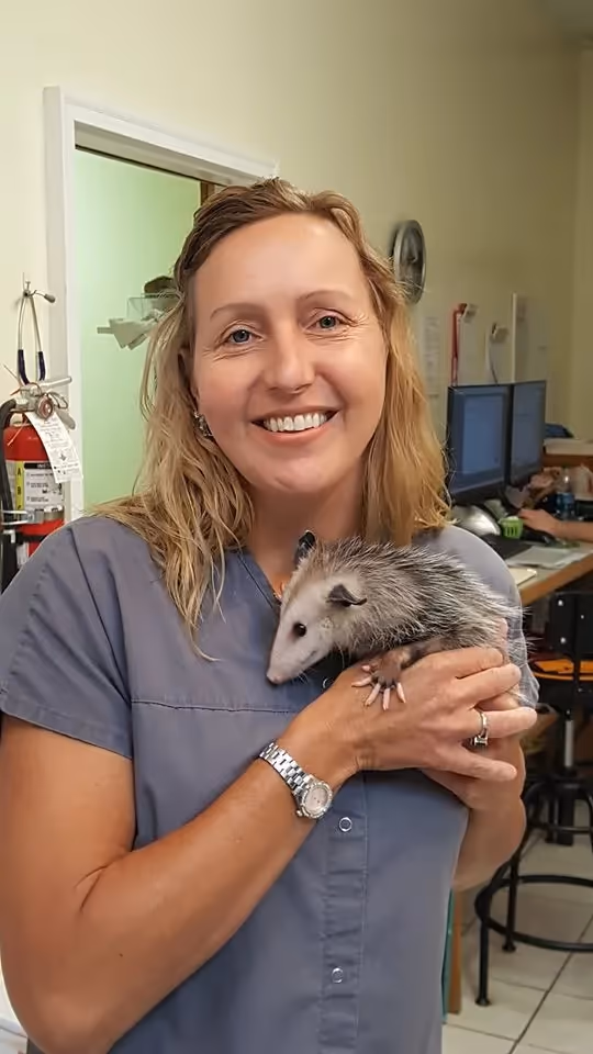 staff profile