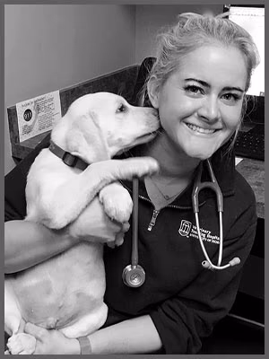 staff profile