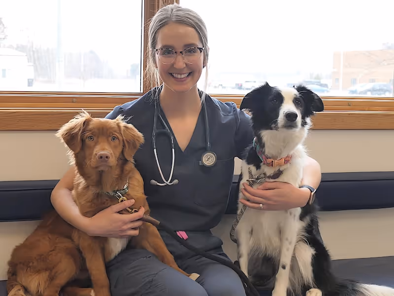 staff profile