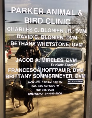 staff profile