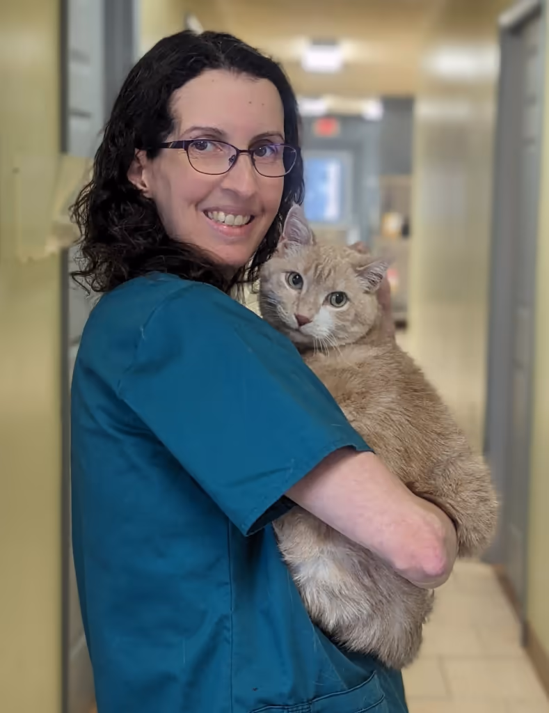 staff profile