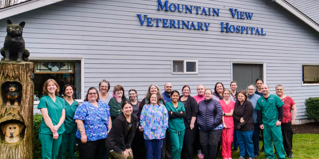 staff profile