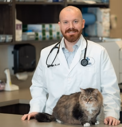 staff profile