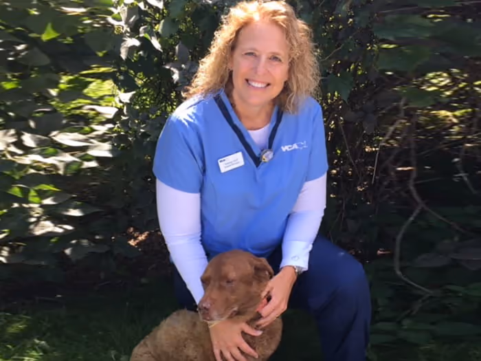 staff profile