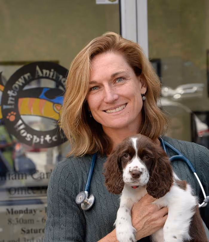staff profile