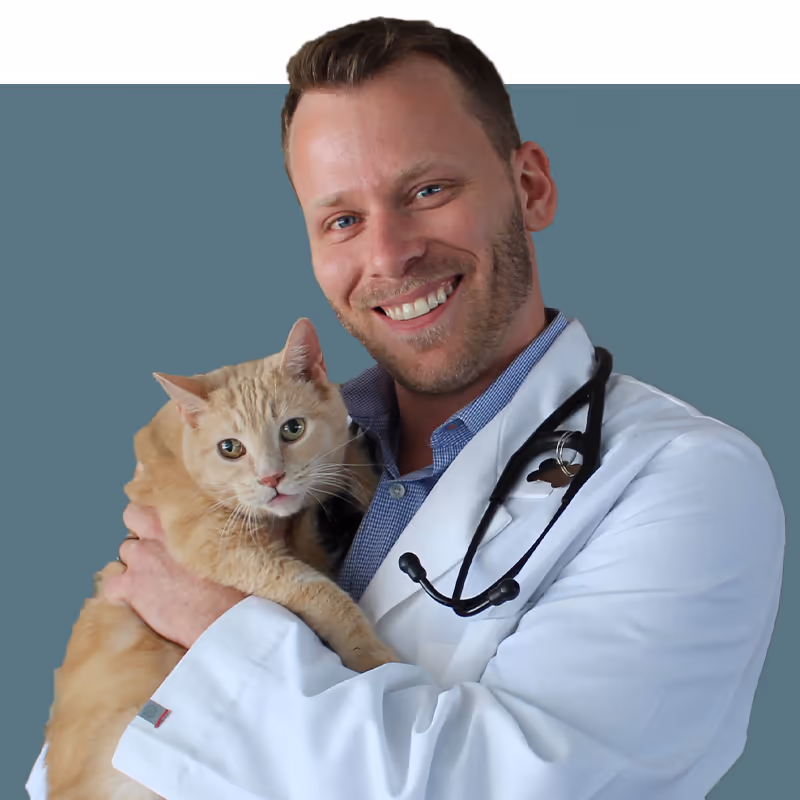 staff profile
