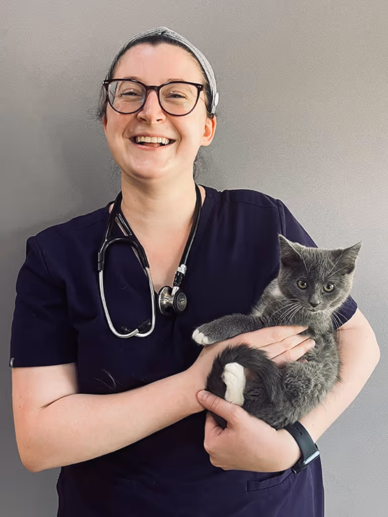 staff profile