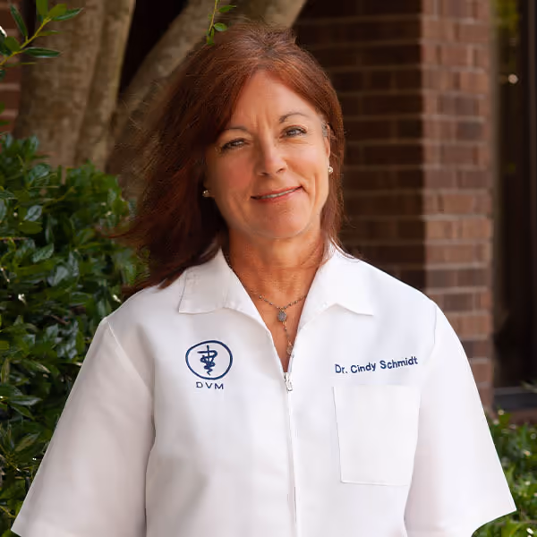 staff profile