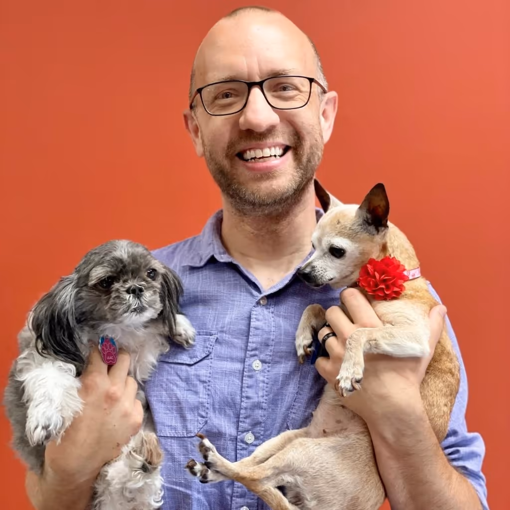 staff profile