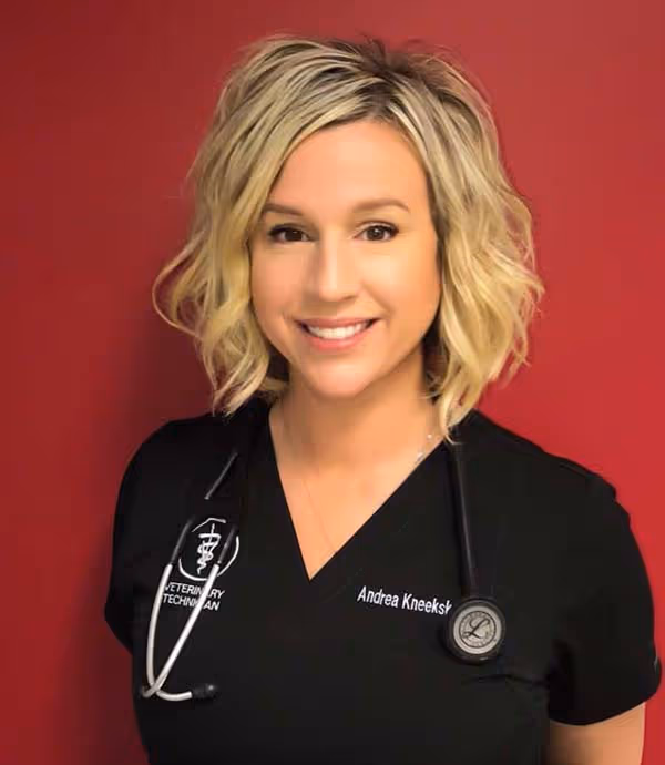 staff profile