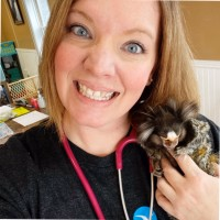 staff profile