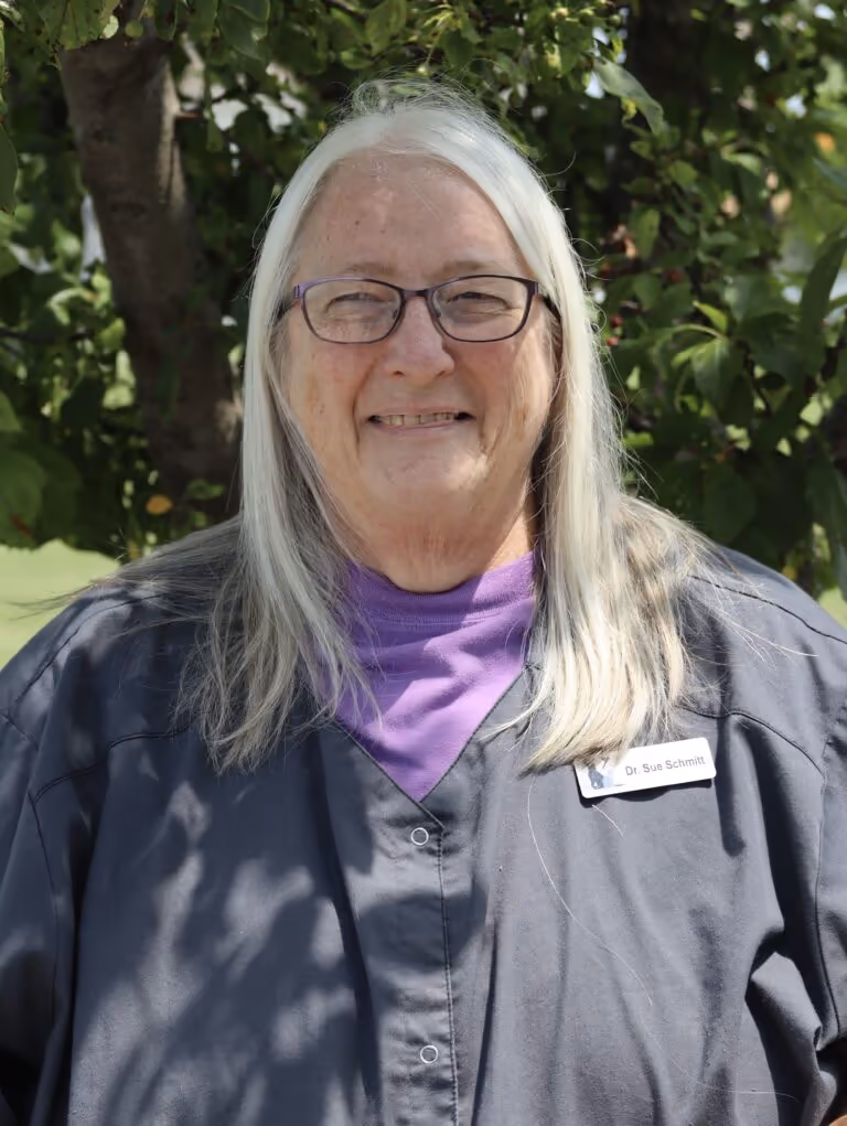 staff profile