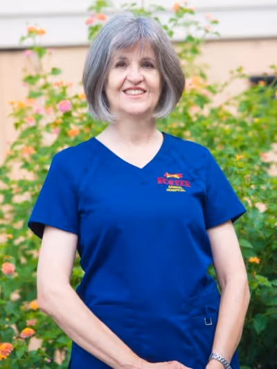 staff profile