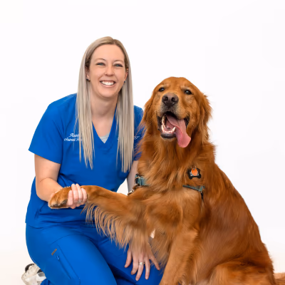 staff profile