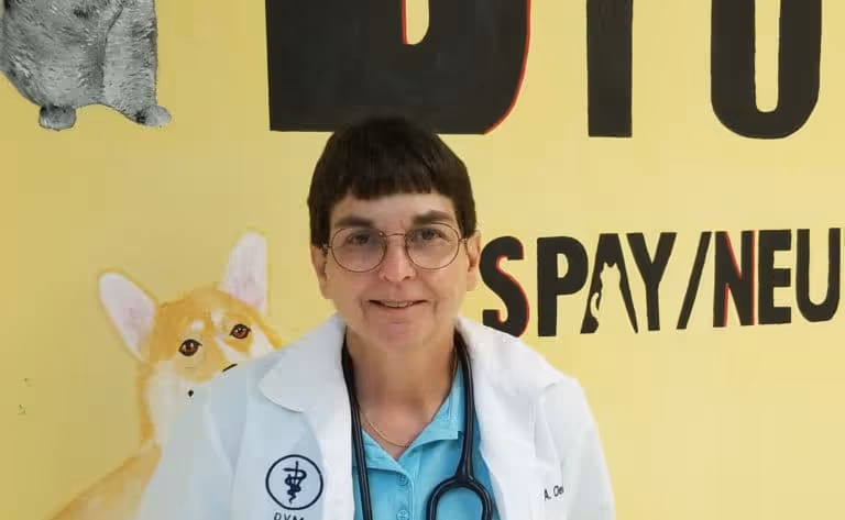 staff profile