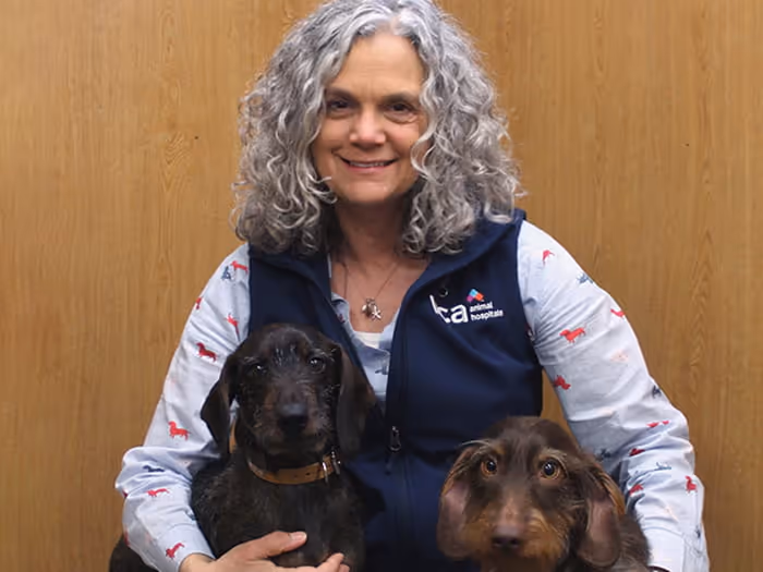 staff profile
