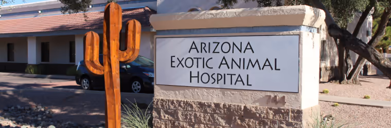 Arizona Exotic Animal Hospital - Pet services facility