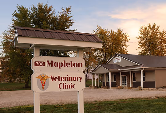 facility profile image