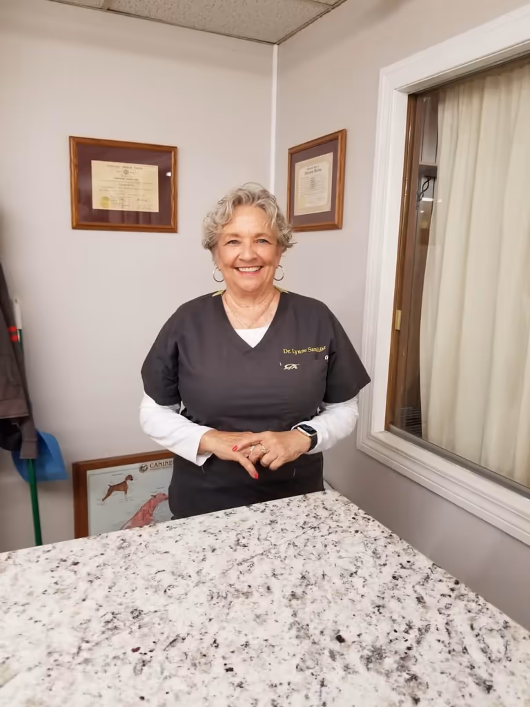 staff profile