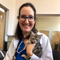 staff profile