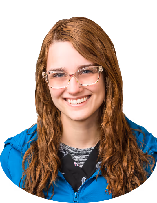 staff profile