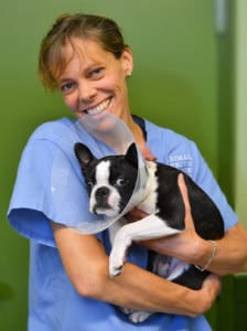 staff profile