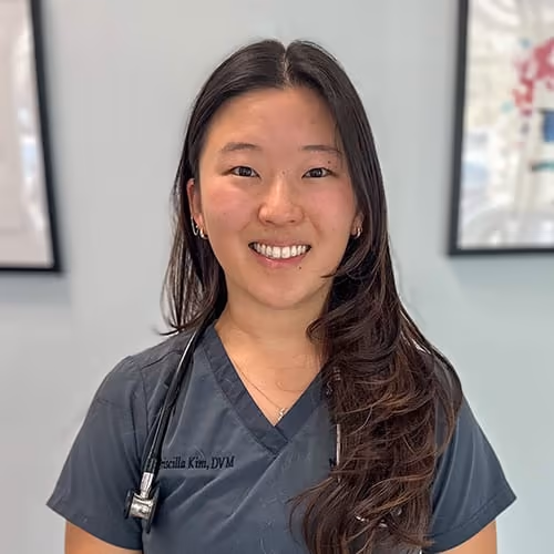 staff profile