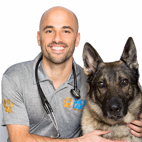 staff profile