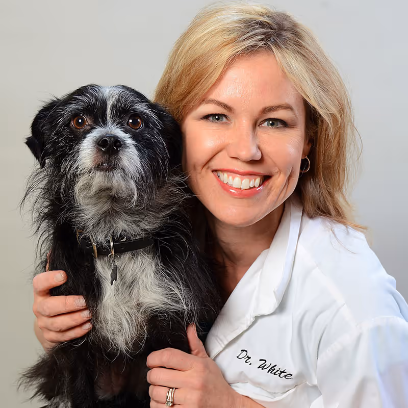 staff profile