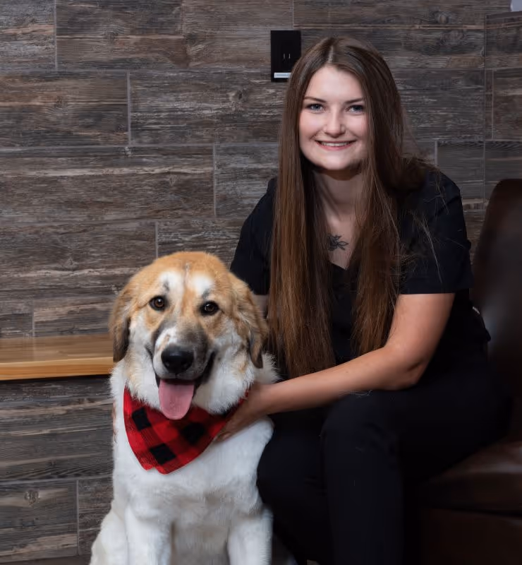 staff profile