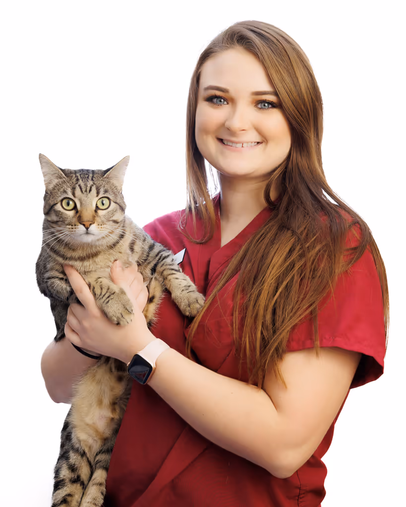 staff profile