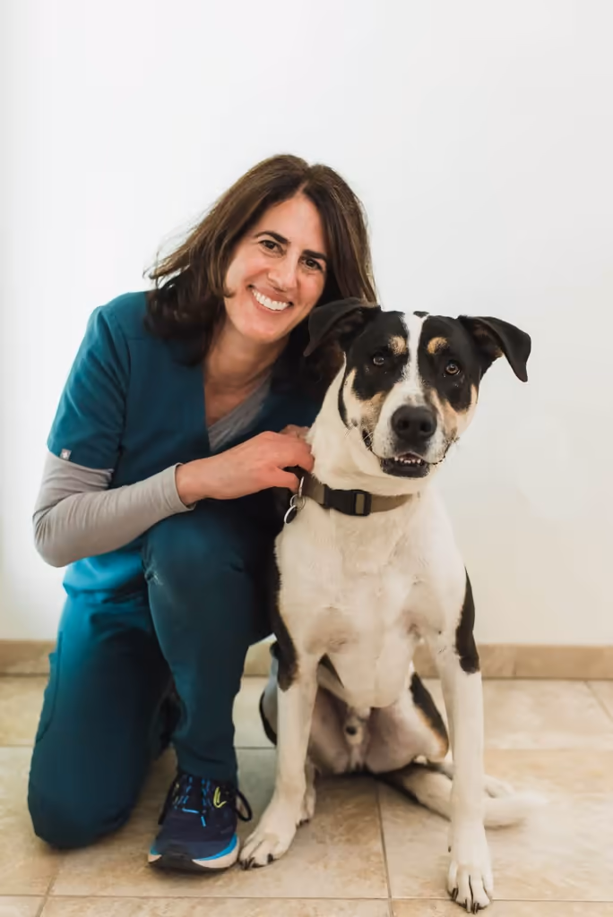 staff profile