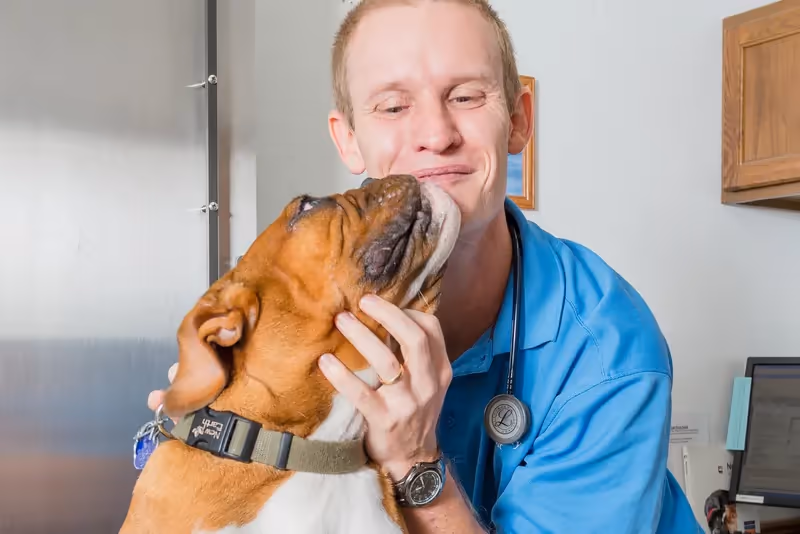 staff profile