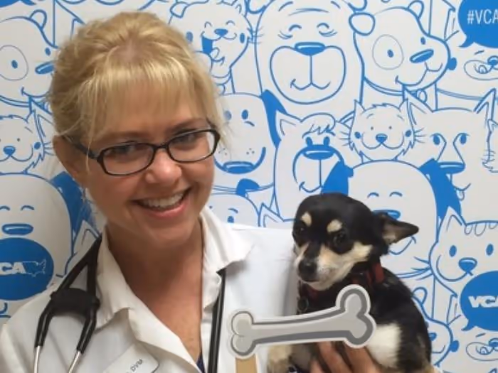 staff profile