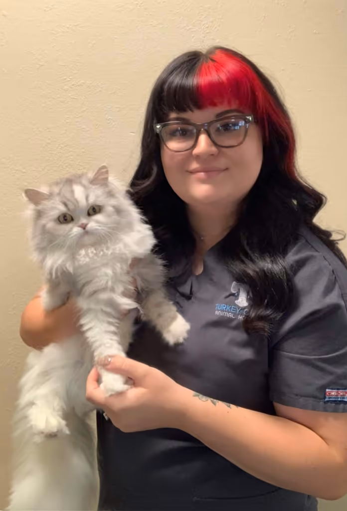 staff profile