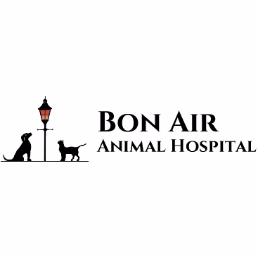 staff profile