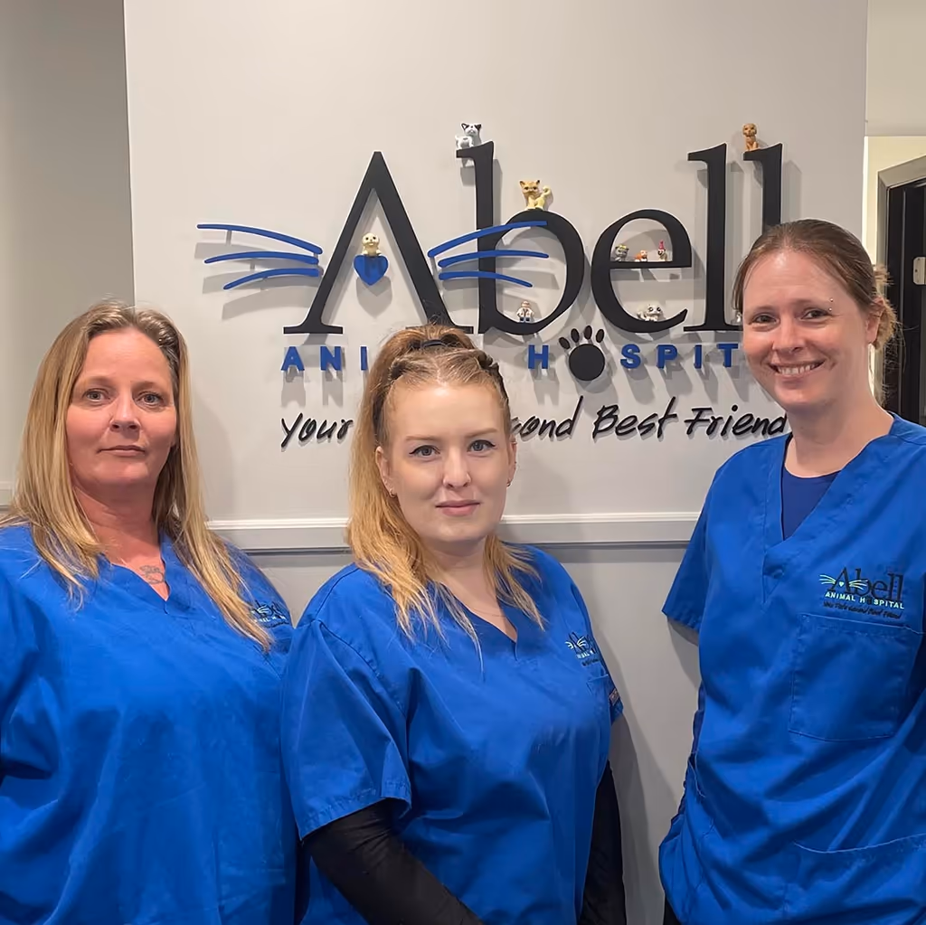 staff profile