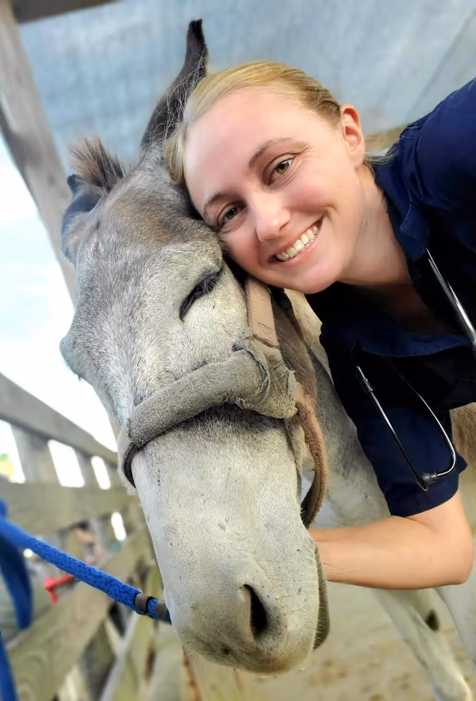 staff profile