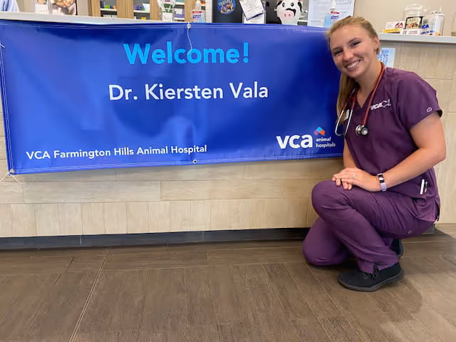 staff profile