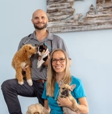staff profile