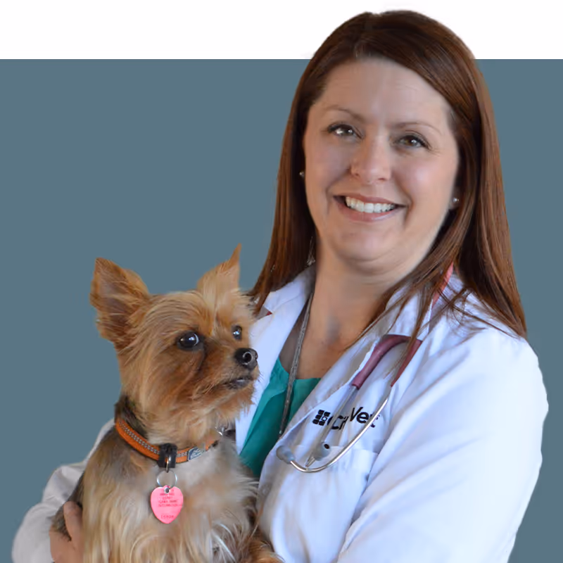 staff profile